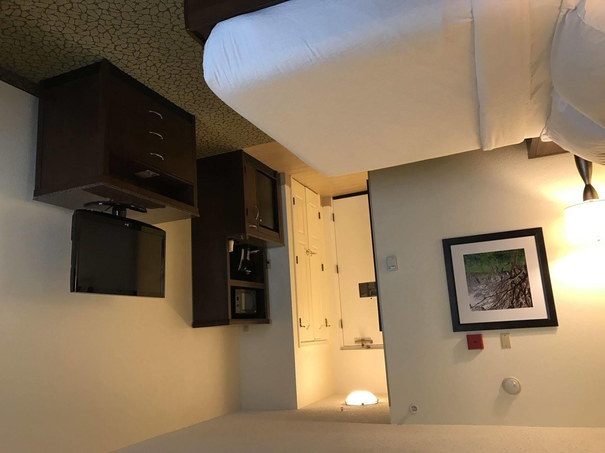 Hilton Garden Inn Orlando East - Ucf Area Alafaya Экстерьер фото